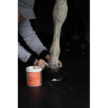 Klei Alodis Care Tendi Flash