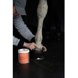 Klei Alodis Care Tendi Flash