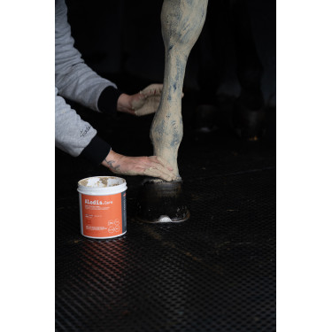 Klei Alodis Care Tendi Flash