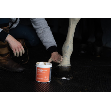 Klei Alodis Care Tendi Flash