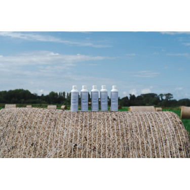 Baume Alodis Care Cani Stress voor honden Baume Alodis Care Cani Stress voor honden