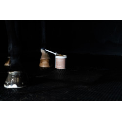 Balsem Alodis Care Hoefverzorging Balsem Alodis Care Hoefverzorging