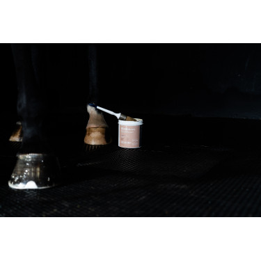 Balsem Alodis Care Hoefverzorging Balsem Alodis Care Hoefverzorging