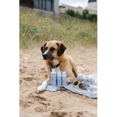 Gel Alodis Care Cani Reparatie