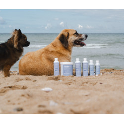 Alodis Care Olie Cani Recup