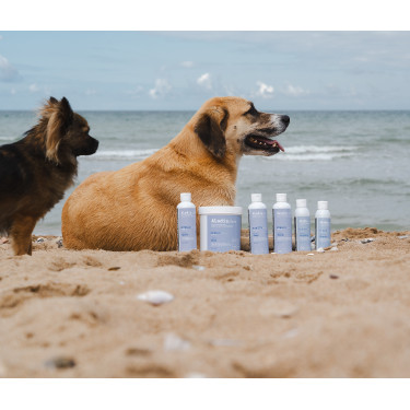 Shampoo Alodis Care Cani Soap voor honden