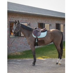 Tapijt GEM Love Munt Groen