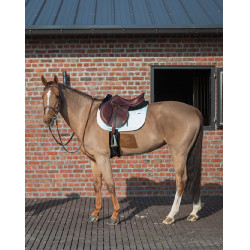 Tapijt GEM Love Munt Groen