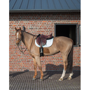 Tapijt GEM Love Munt Groen