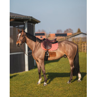 Tapijt GEM Love Blauw Frankrijk Tapijt GEM Love Blauw Frankrijk