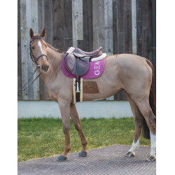 Tapijt GEM Ten Framboos Rood