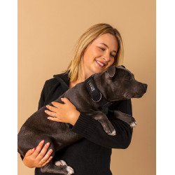 GEM halsband hond Zwart