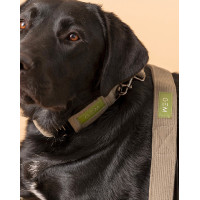 Laat GEM hond Kaki Groen Laat GEM hond Kaki Groen