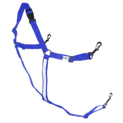 Bricole américaine synthétique poney Finn-Tack Pro Bleu / blanc