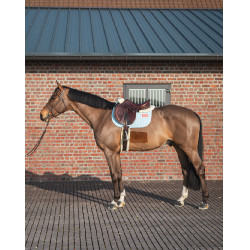 GEM Leo hindernismat GEM Leo hindernismat