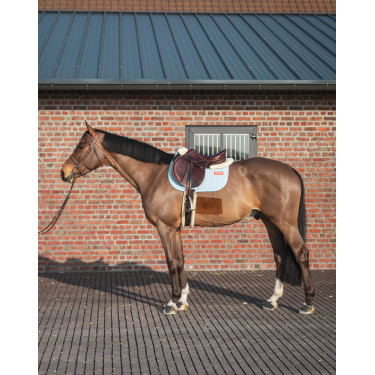 GEM Leo hindernismat GEM Leo hindernismat