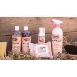 Easy Shine Wipe Ravene Reinigingsdoekjes Easy Shine Wipe Ravene Reinigingsdoekjes