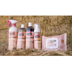 Easy Shine Wipe Ravene Reinigingsdoekjes Easy Shine Wipe Ravene Reinigingsdoekjes