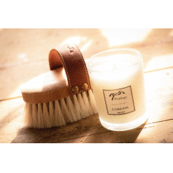 Kaars L'origine Pénélope