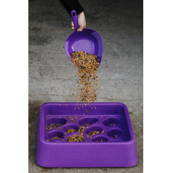 Antischrokvoerbak Hippotonic Violet