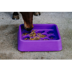 Antischrokvoerbak Hippotonic Violet