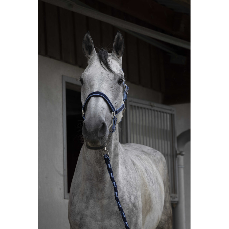 Halster + lijn Equitheme Satiné Halster + lijn Equitheme Satiné