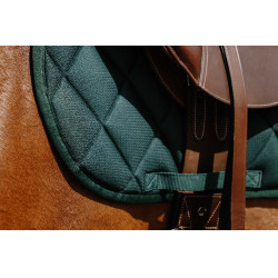Zadeldoek Riding World School Zadeldoek Riding World School