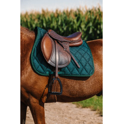 Zadeldoek Riding World School Zadeldoek Riding World School