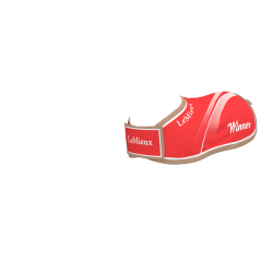 Winners deken voor Mini Poney speelgoed LeMieux Rood