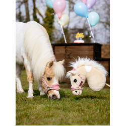 Hobby Horse Droom LeMieux Hobby Horse Droom LeMieux