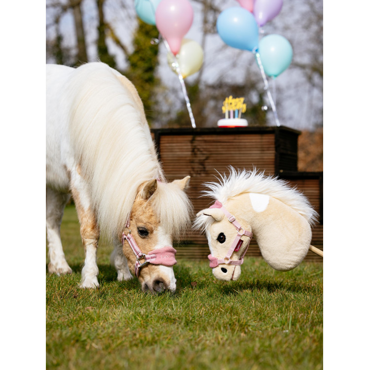 Hobby Horse Droom LeMieux Hobby Horse Droom LeMieux