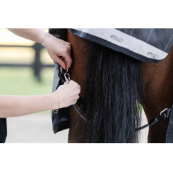 Dijgordel Horseware Zwart