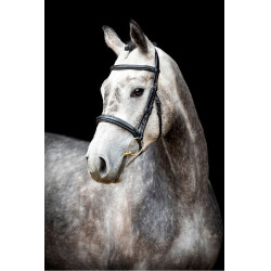 Bridon Montar Hunter Zwart