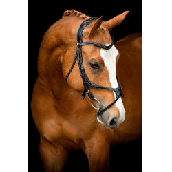 Bridon Montar Lyon 8-Fig gelooid leer Zwart