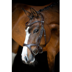 Bridon Montar Monarch leer organisch gelooid Bruin