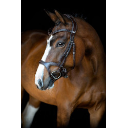 Bridon Montar Monarch leer organisch gelooid Bruin