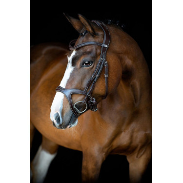 Bridon Montar Monarch leer organisch gelooid Bruin