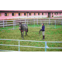 VERZINKTE PANELEN - L 2,40...