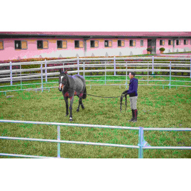 VERZINKTE PANELEN - L 2,40 m - H 1,60 m