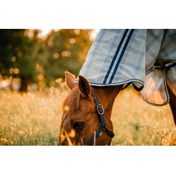 Vliegendeken Horseware Newmarket Plus Marine witney Marineblauw