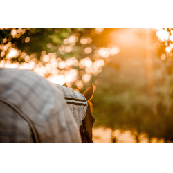 Vliegendeken Horseware Newmarket Plus Marine witney Marineblauw