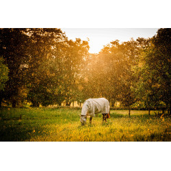 Vliegendeken Horseware Newmarket Plus Houtskool witney Grijs