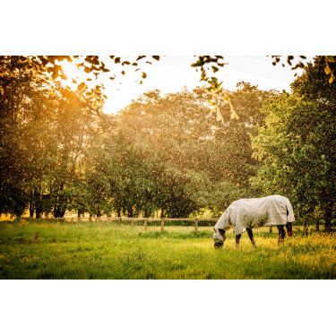 Vliegendeken Horseware Newmarket Plus Houtskool witney Grijs