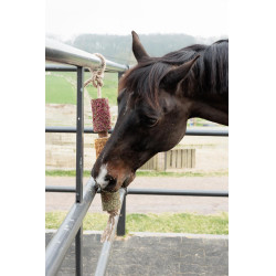 Ontspannend houten speelgoed Grooming Deluxe Ontstressen