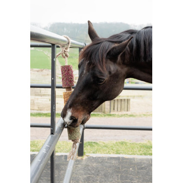 Ontspannend houten speelgoed Grooming Deluxe Ontstressen