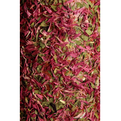 Ontspannend houten speelgoed Grooming Deluxe Ontstressen