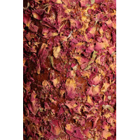 Ontspannend houten speelgoed Grooming Deluxe Ontstressen