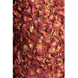 Ontspannend houten speelgoed Grooming Deluxe Vrijheid