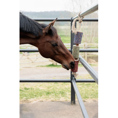 Ontspannend houten speelgoed Grooming Deluxe Ontspannend houten speelgoed Grooming Deluxe