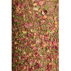 Rustgevend houten speeltje Grooming Deluxe met zoutsteen Luchtweg Rustgevend houten speeltje Grooming Deluxe met zoutsteen Luchtweg